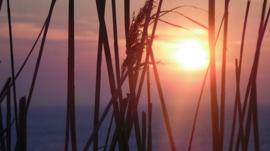 Fin de semana de altas temperaturas en la Región de Murcia