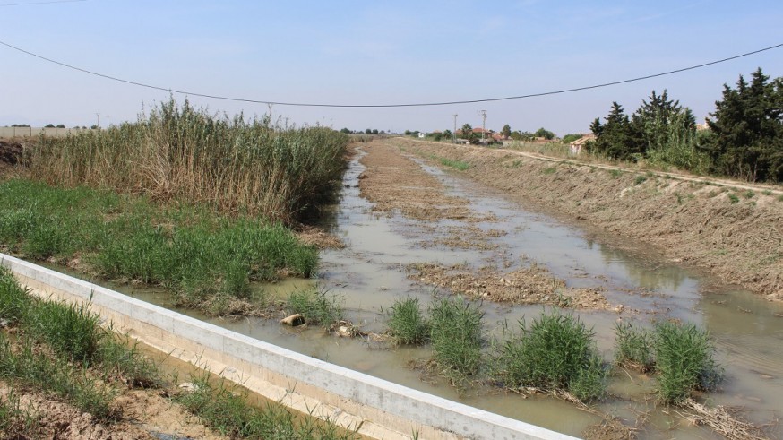 El nuevo plan hidrológico del Segura no servirá para resolver los "graves problemas" de la cuenca, según Ecologistas en Acción