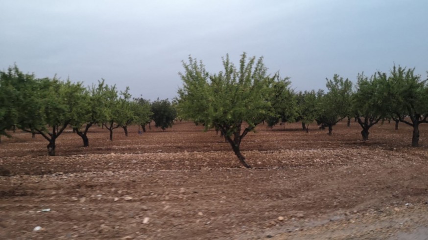 El Consejo de Agricultura Ecológica no ha recibido críticas en 25 años 