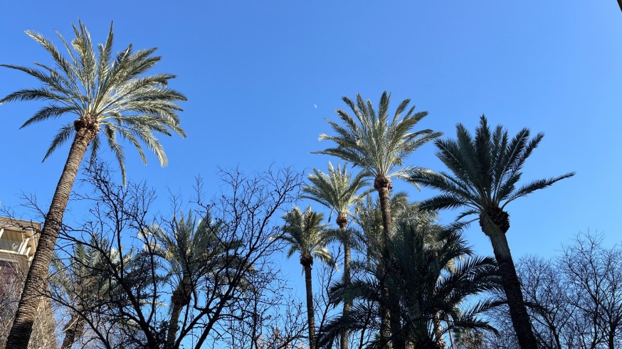 El tiempo en la Región de Murcia: la sequía y el calor marcarán el trimestre